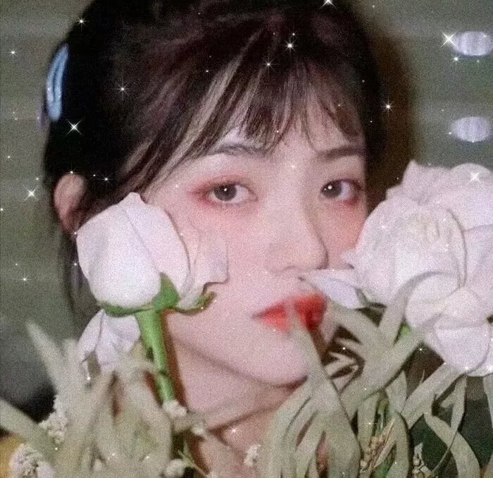少男情狂