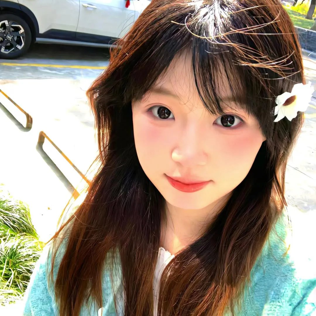 森林进化论