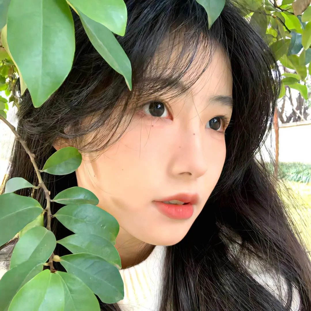 网红教欲